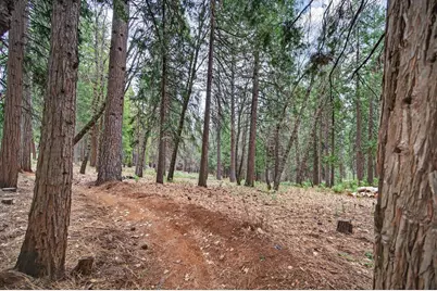 4381 Lakeridge Drive, Pollock Pines, CA 95726 - Photo 63