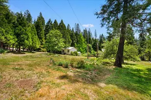 9086 La Porte Rd, Brownsville, CA 95919 - Photo 39