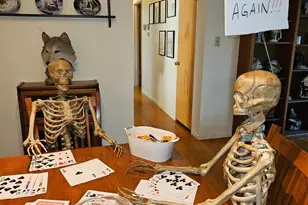 7230 Linda Sue Way, Citrus Heights, CA 95621 - Photo 77