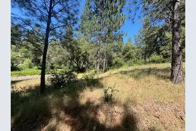 0 Crestview Drive, Murphys, CA 95247 - Photo 33