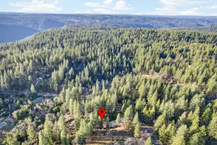 6410 Log Cabin Ln, Placerville, CA 95667 - Photo 43