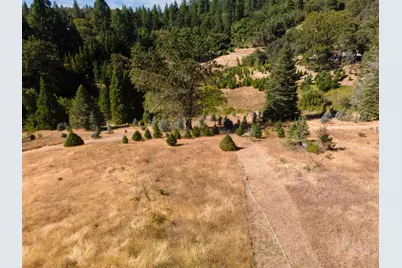 Syd Road, Greenwood, CA 95635 - Photo 13