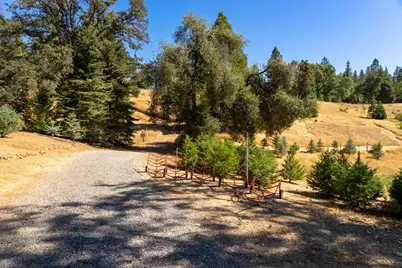 Syd Road, Greenwood, CA 95635 - Photo 21