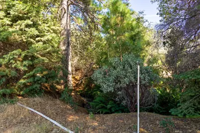 Syd Road, Greenwood, CA 95635 - Photo 31