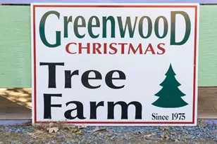 Syd Rd, Greenwood, CA 95635 - Photo 1