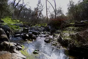 3680 Reflection Rd, Shingle Springs, CA 95682 - Photo 31