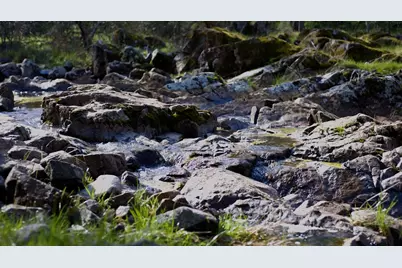 3680 Reflection Road, Shingle Springs, CA 95682 - Photo 33