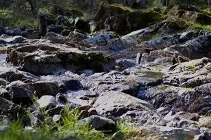 3680 Reflection Rd, Shingle Springs, CA 95682 - Photo 33