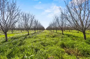 0 Sanders Rd, Live Oak, CA 95953 - Photo 1