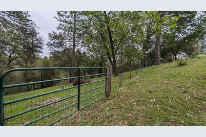 8209 Mountain Meadow Drive, Mountain Ranch, CA 95246 - Photo 63