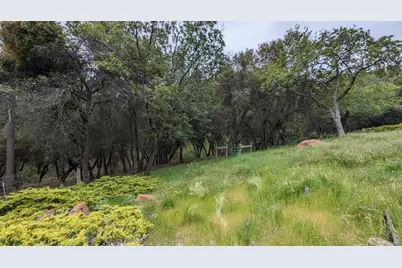 8209 Mountain Meadow Drive, Mountain Ranch, CA 95246 - Photo 67