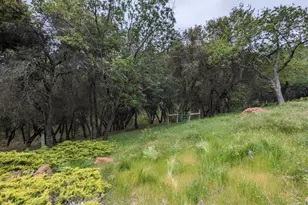 8209 Mountain Meadow Dr, Mountain Ranch, CA 95246 - Photo 67