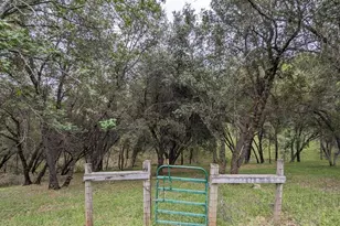 8209 Mountain Meadow Dr, Mountain Ranch, CA 95246 - Photo 69