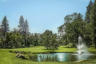 12716 Roadrunner Dr, Penn Valley, CA 95946 - Photo 31