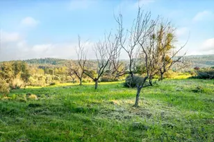 18085 Oak Tree Rd, Nevada City, CA 95959 - Photo 79