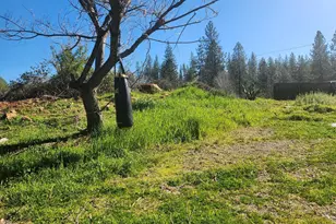 9366 Ranger Trail, Oregon House, CA 95962 - Photo 37