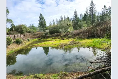 9366 Ranger Trail, Oregon House, CA 95962 - Photo 3