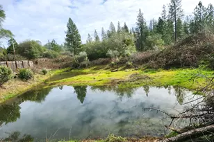 9366 Ranger Trail, Oregon House, CA 95962 - Photo 3