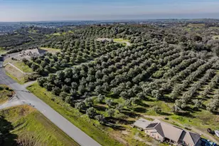 444 Saddle Ridge, Valley Springs, CA 95252 - Photo 43