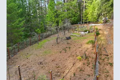 12016 Banner Mountain Trail, Nevada City, CA 95959 - Photo 13