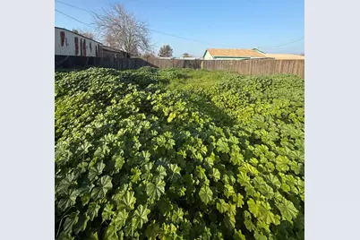 16641 Colony Street, Dos Palos, CA 93620 - Photo 5