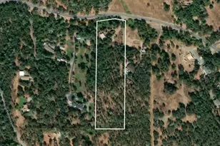 12545 Wolf Rd, Grass Valley, CA 95949 - Photo 99
