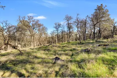 12545 Wolf Road, Grass Valley, CA 95949 - Photo 65