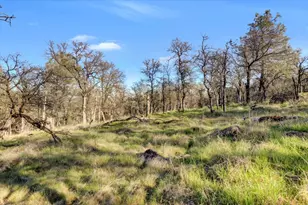 12545 Wolf Rd, Grass Valley, CA 95949 - Photo 65