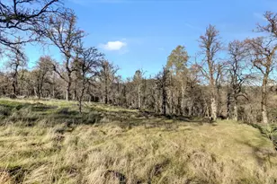 12545 Wolf Rd, Grass Valley, CA 95949 - Photo 61