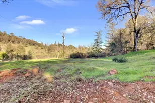 12545 Wolf Rd, Grass Valley, CA 95949 - Photo 69
