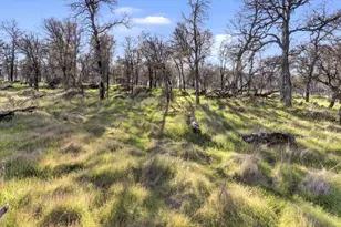 12545 Wolf Rd, Grass Valley, CA 95949 - Photo 67