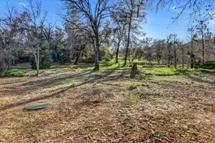 12545 Wolf Rd, Grass Valley, CA 95949 - Photo 55