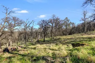 12545 Wolf Rd, Grass Valley, CA 95949 - Photo 59