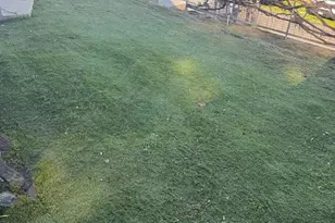 1340 Mark Twain Rd, Angels Camp, CA 95222 - Photo 13