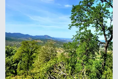 1669 Pinto Drive, Angels Camp, CA 95222 - Photo 3