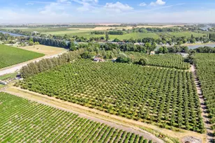 14268 State Hwy 160, Ryde, CA 95680 - Photo 89