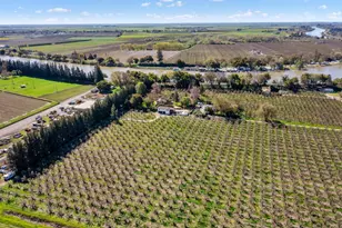 14268 State Hwy 160, Ryde, CA 95680 - Photo 93