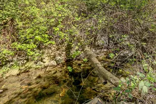 17862 Foxtail Dr, Penn Valley, CA 95946 - Photo 53