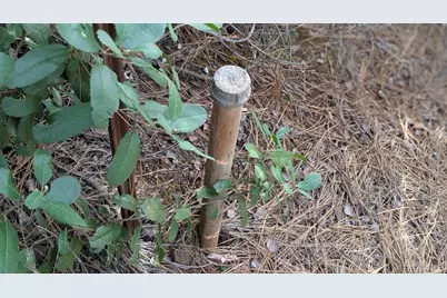 4086 Pilot View Ct., Pilot Hill, CA 95664 - Photo 25