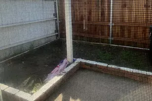 5317 Manzanita Ave, Carmichael, CA 95608 - Photo 37