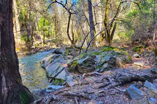 2733 Emco Rd, Mokelumne Hill, CA 95245 - Photo 11