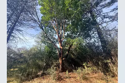 10986 Tyler Foote Crossing Road, Nevada City, CA 95959 - Photo 7