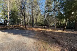 75 Sandy Gulch Ln, West Point, CA 95255 - Photo 33