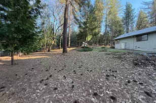 75 Sandy Gulch Ln, West Point, CA 95255 - Photo 23