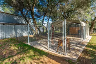 3000 Spring Hill Rd, Somerset, CA 95684 - Photo 79
