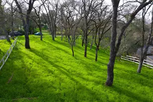 4321 Buchanan Dr, Fair Oaks, CA 95628 - Photo 17