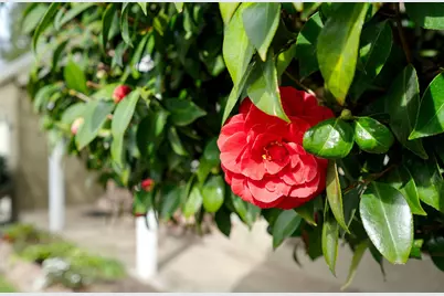 5325 Shepard Avenue, Sacramento, CA 95819 - Photo 5