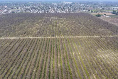 0 August Avenue, Delhi, CA 95315 - Photo 19