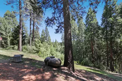 18980 Circle View Drive, Pioneer, CA 95666 - Photo 41