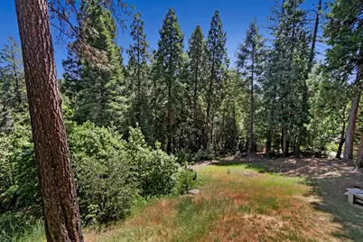 18980 Circle View Drive, Pioneer, CA 95666 - Photo 37